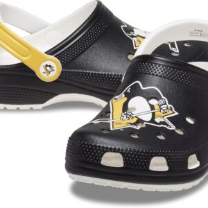 Pittsburgh Penguins