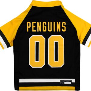 Pittsburgh Penguins