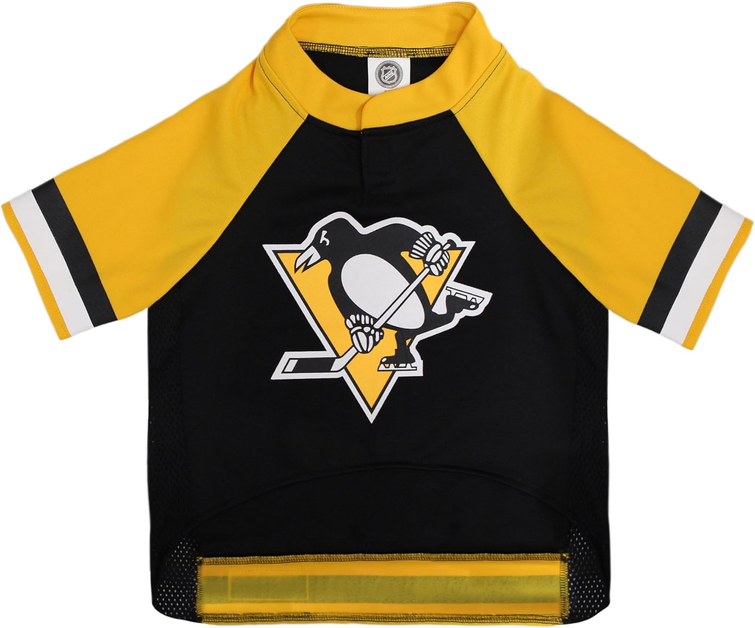 Pittsburgh Penguins