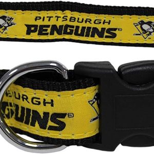 Pittsburgh Penguins