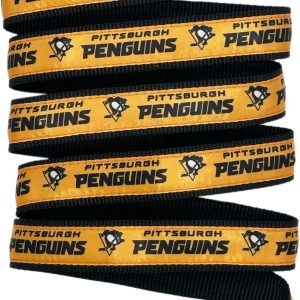 Pittsburgh Penguins