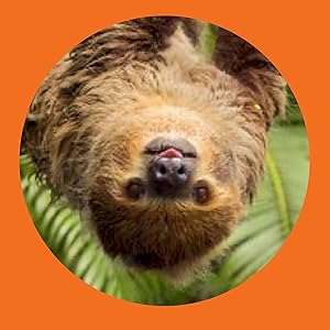 Sloths interior spread