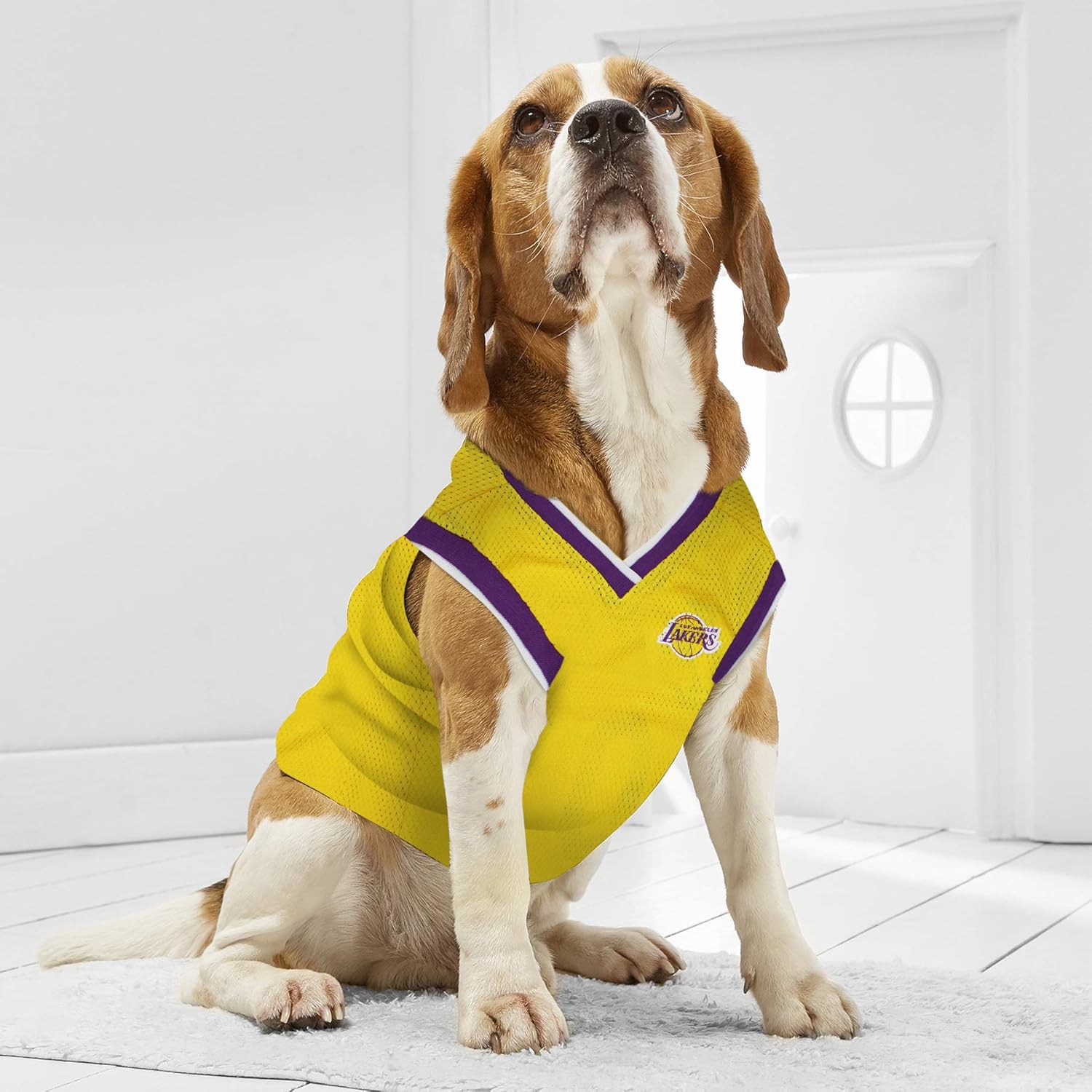 NBA LOS ANGELES LAKERS DOG Jersey, Large - Tank Top Basketball Pet Jersey - Image 4